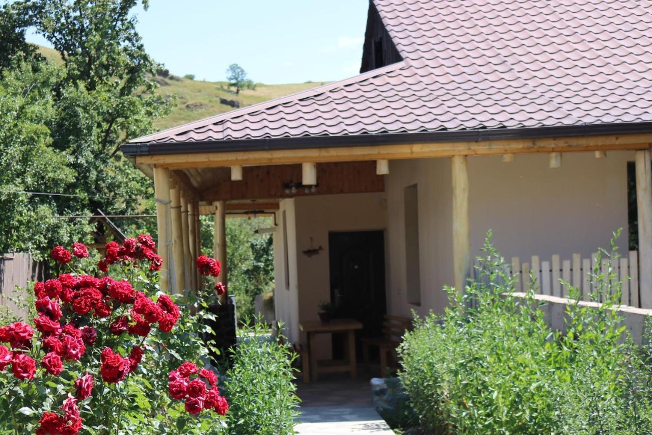 Villa Shamakhyan Дилиян Екстериор снимка