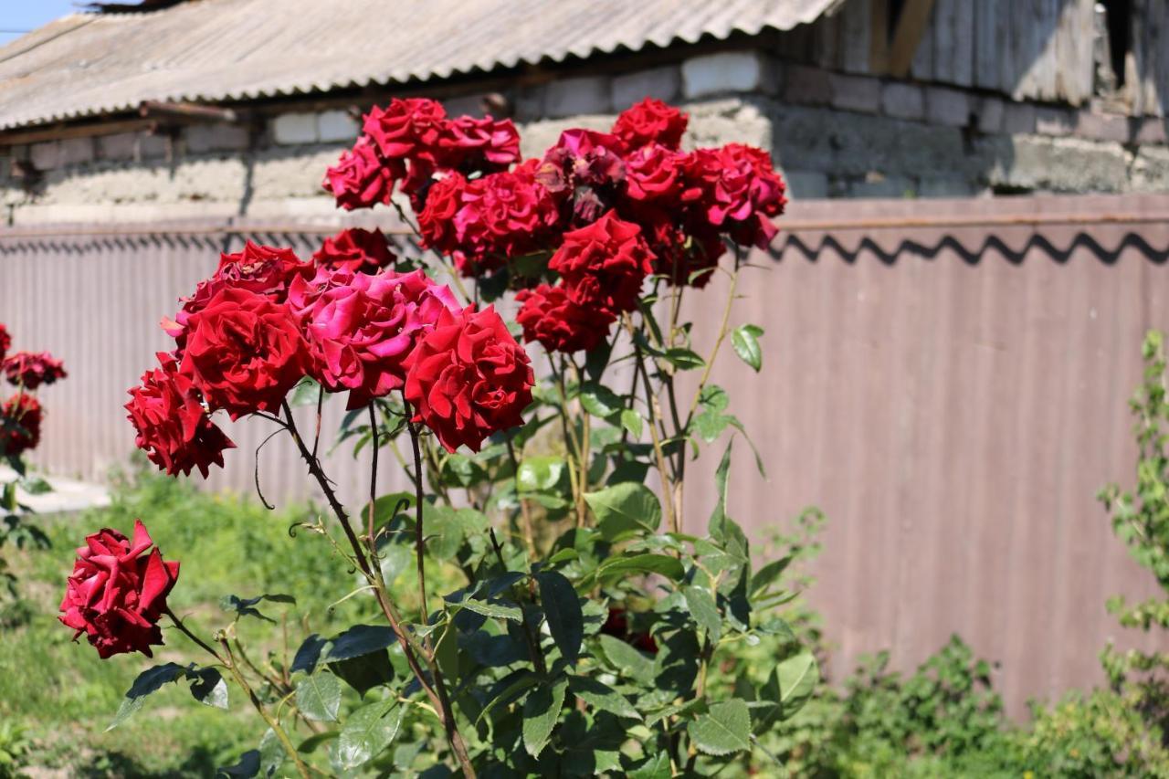 Villa Shamakhyan Дилиян Екстериор снимка