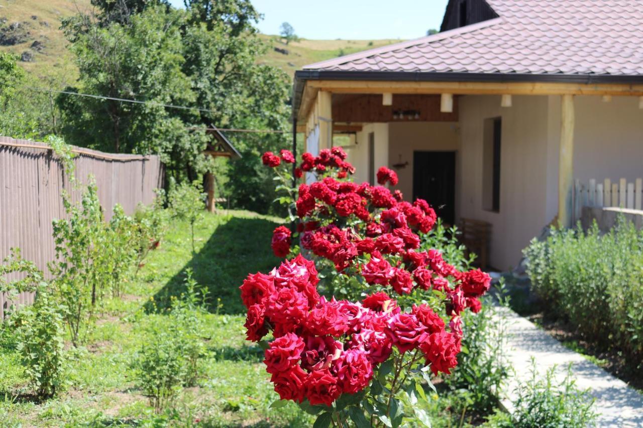 Villa Shamakhyan Дилиян Екстериор снимка
